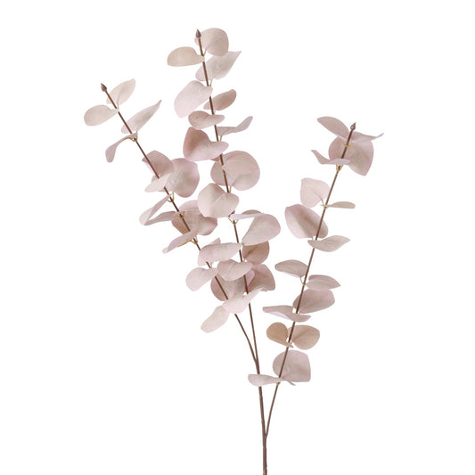Dekozweig Eukalyptus